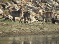 DSCN0142.webp