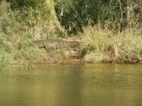 DSCN0147.webp