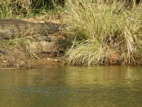 DSCN0148.webp