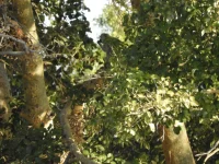 DSCN0152.webp