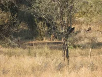 DSCN0153.webp