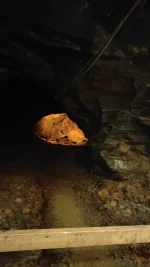 IMG-20250709-WA0010.webp