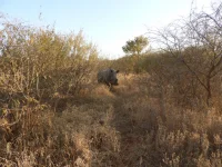 DSCN0159.webp