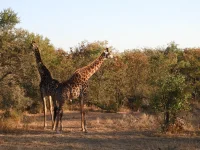 DSCN0165.webp