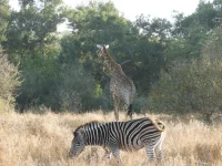 DSCN0182.webp