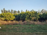 20250620_163218.webp