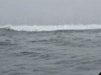 20250622_094300.webp