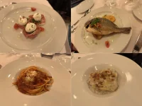 Cena1.webp