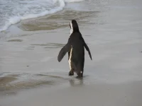 DSCN0282.webp