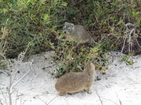 DSCN0239.webp
