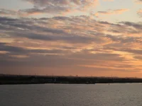 IMG_1667.webp