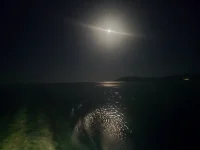 20250707_002554.webp