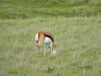 DSCN0301.webp