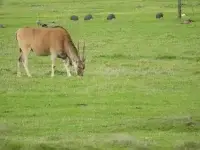 DSCN0300.webp