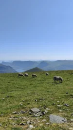 IMG-20250717-WA0017.webp