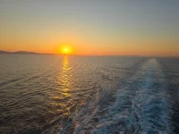20250707_203252.webp
