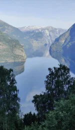 Screenshot_20250719-083111~2.webp