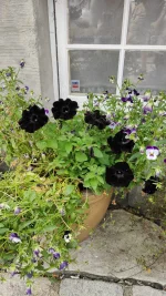 IMG-20250720-WA0019.webp