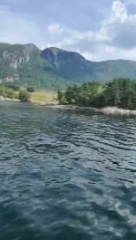 Screenshot_20250720-162104~2.webp