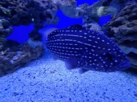 20250624_145502.webp