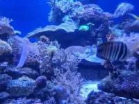 20250624_150005.webp
