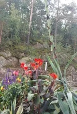 Screenshot_20250721-164814~3.webp