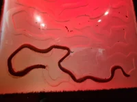 20250624_150301.webp