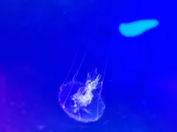 20250624_151110.webp