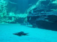 20250624_151530.webp