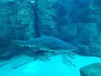 20250624_154617.webp