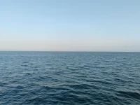 1000019687.webp