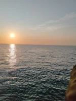 1000019692.webp