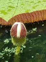 20250626_123135.webp