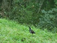 20250626_125654.webp