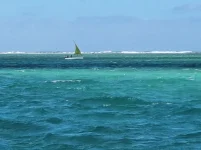20250627_101505.webp