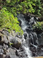 20250627_105943.webp