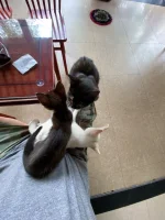 thumbnail_IMG_1178.webp