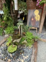 thumbnail_IMG_1464.webp