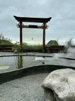 thumbnail_IMG_1467.webp