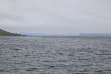 IMG_1148.webp