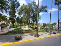 1754077060216.webp