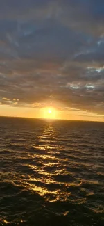 20250801_204515.webp