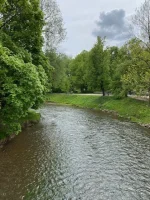 thumbnail_IMG_2579.webp