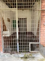 thumbnail_IMG_2677.webp