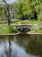 thumbnail_IMG_2804.webp