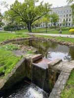 thumbnail_IMG_2813.webp