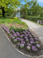 thumbnail_IMG_2812.webp