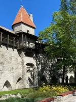 thumbnail_IMG_2868.webp