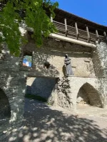 thumbnail_IMG_2869.webp