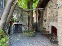 thumbnail_IMG_2886.webp
